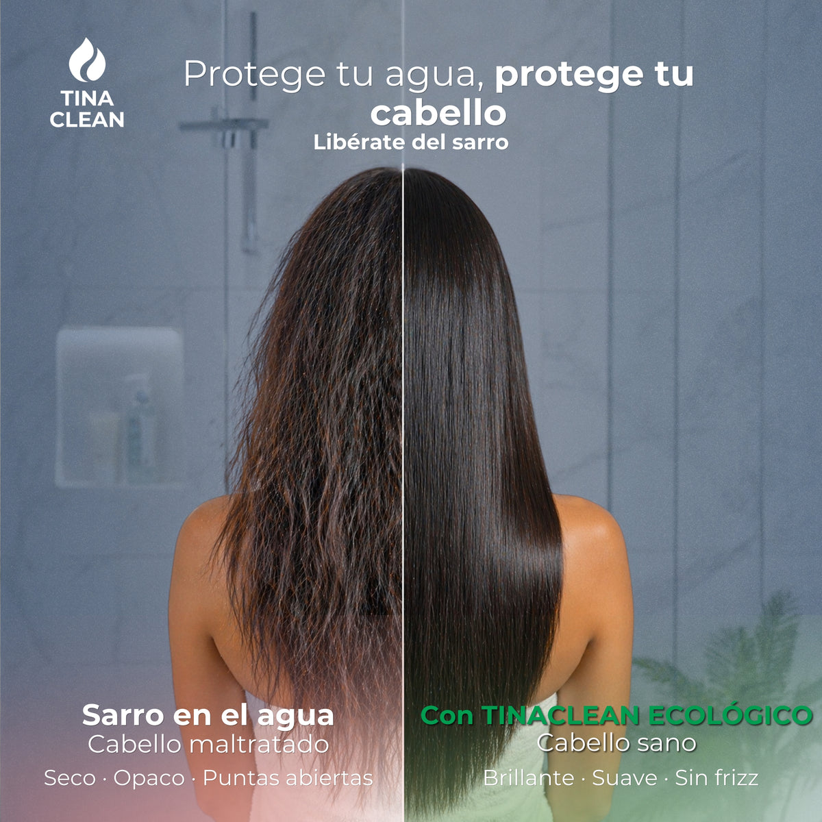 Antisarro Ecológico TINA CLEAN para Cisterna 5000-10000L | 12 meses